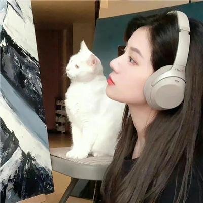 龙虎群英